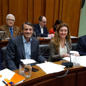 Cs de l'Hospitalet consigue que se apruebe su propuesta para fomentar la vivienda de alquiler social