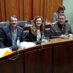 Cs critica que el Gobierno de Núria Marín impida la intervención de los ciudadanos en los presupuestos participativos de l’Hospitalet Cs critica que el Gobierno de Núria Marín impida la intervención de los ciudadanos en los presupuestos participativos de l’Hospitalet